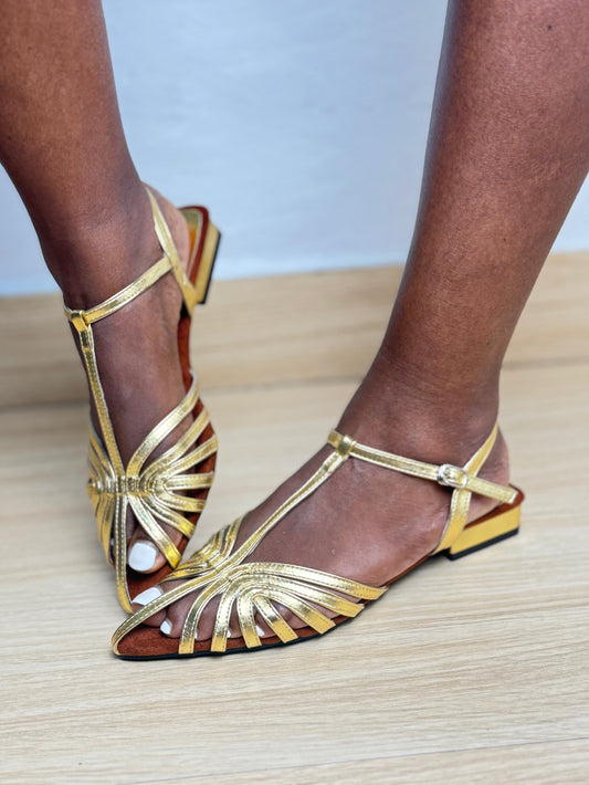 Closed Pointy-toe Gladiator Flats