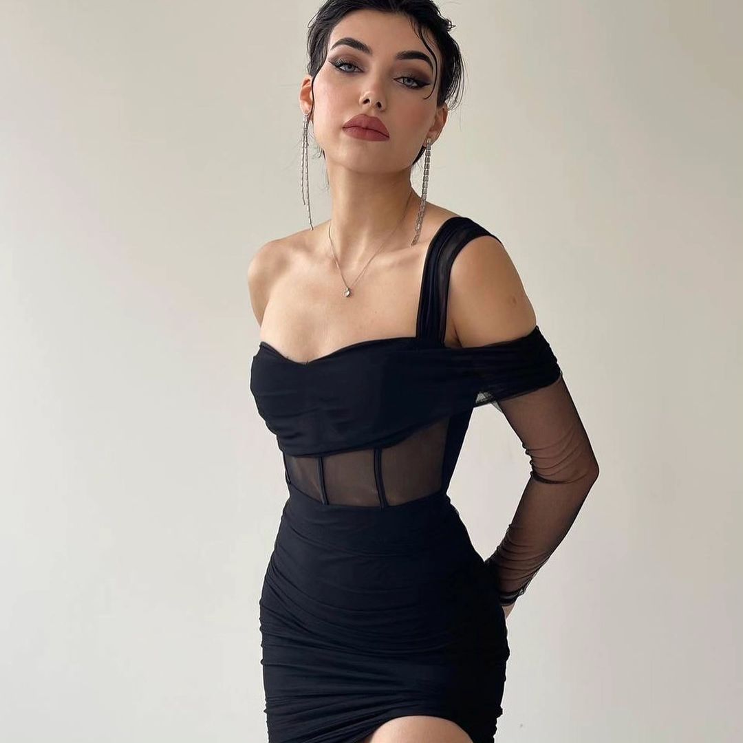 Londie Meshed Bodycon Mini